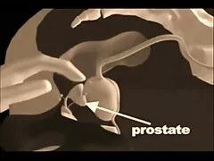 Carnoso culo sul film lesbo porno gratis pene (video privato)