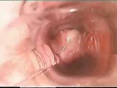 Bionda versato tutto il suo viso filmati lesbo amatoriali con sperma.